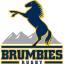 Brumbies Brumbies