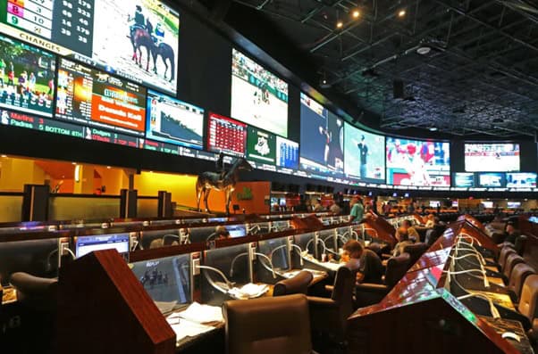 The Importance of Bookmaking in Modern Sports | Sports Betting Operator