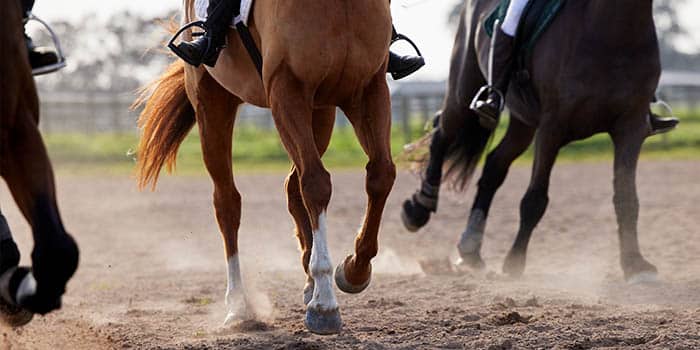 Top Jockeys Reportedly Join Forces to Form Game-Changing Racing League