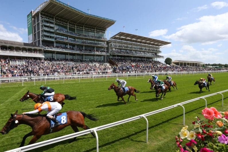 UK Bettor Makes £14,000 After Betting £1.56 on Eight-Horse Parlay