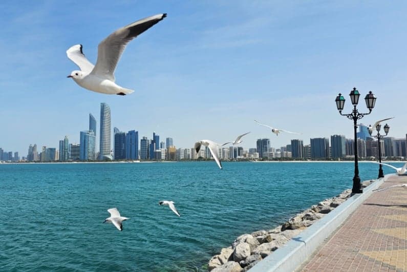 UAE Crowns First-Ever AED100m Lottery Winner