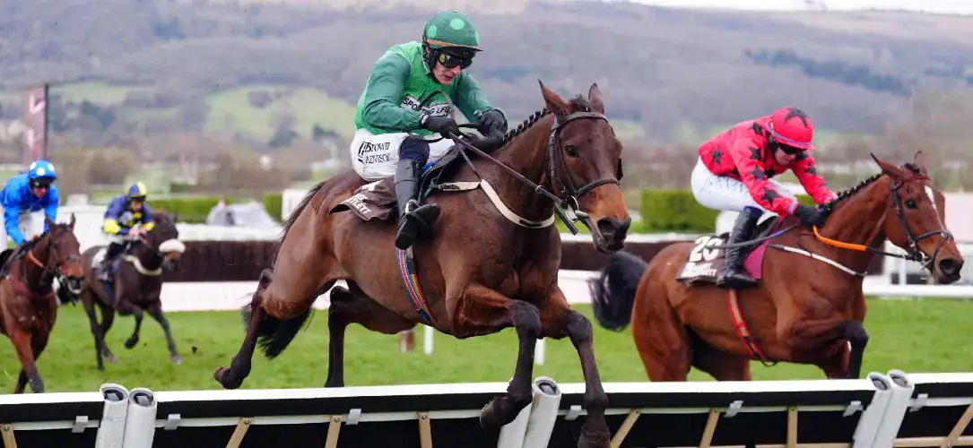 What is the Albert Bartlett Novices’ Hurdle prize money?