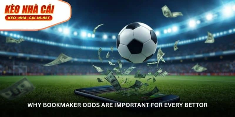 Bookmaker Odds Explained – How Smart Bettors Read The Market - SCCG ...